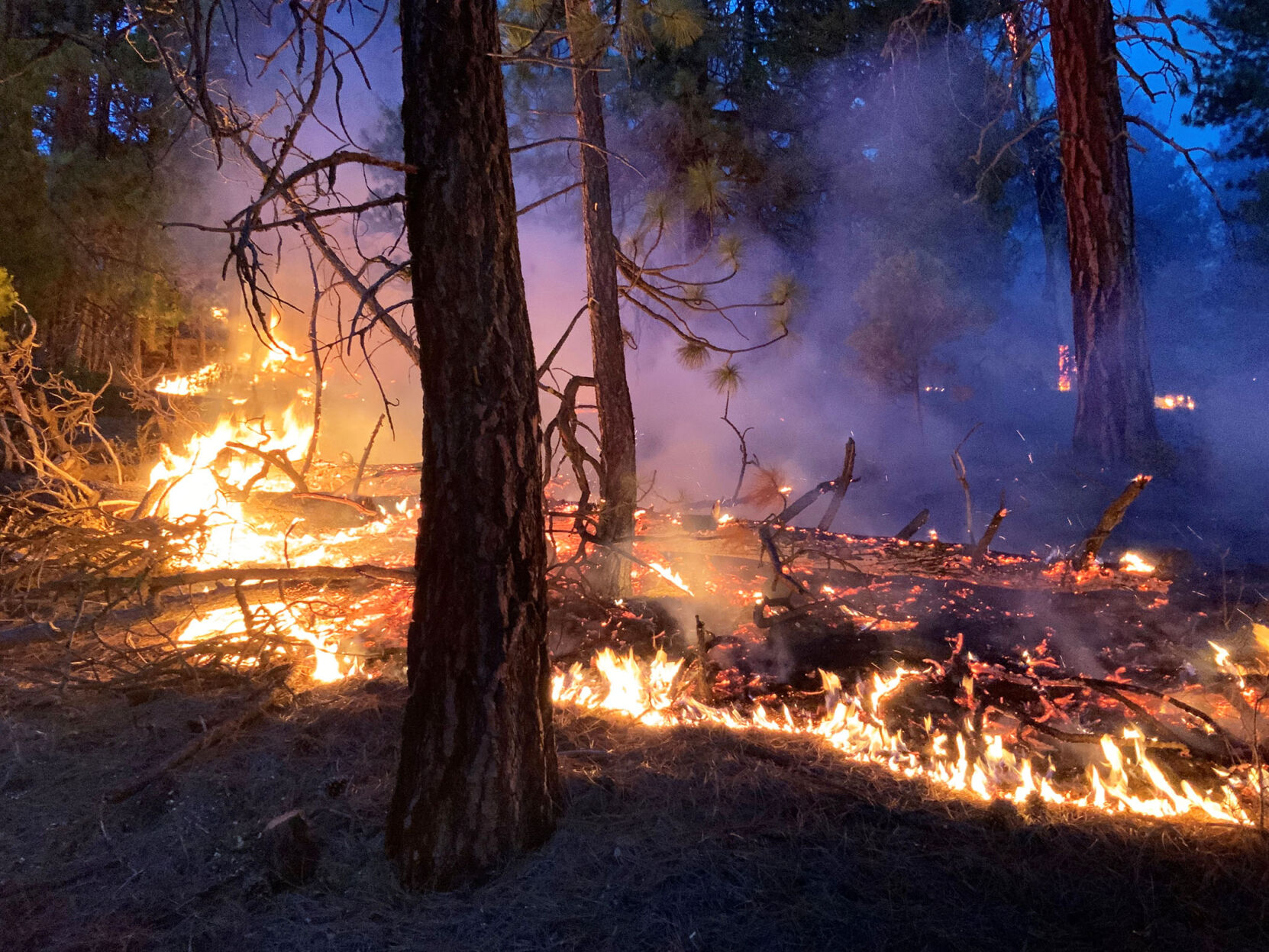 Chiloquin Ridge Fire